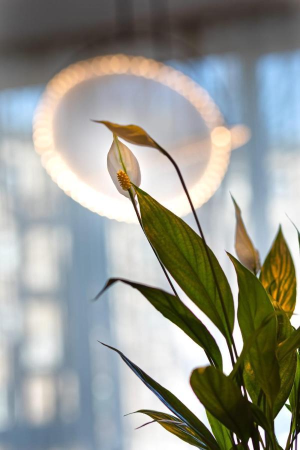 Riga Riverside Spacious One Bedroom Apartment Esterno foto